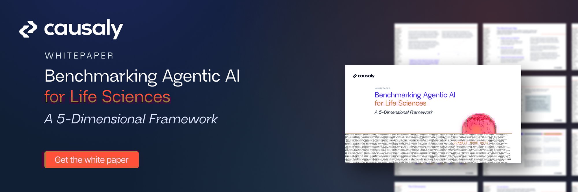 2025-12-4 Benchmarking Banner 1200x400 V01-3@2x 2025-12-4 Benchmarking Banner 1200x400 V01-3@2x