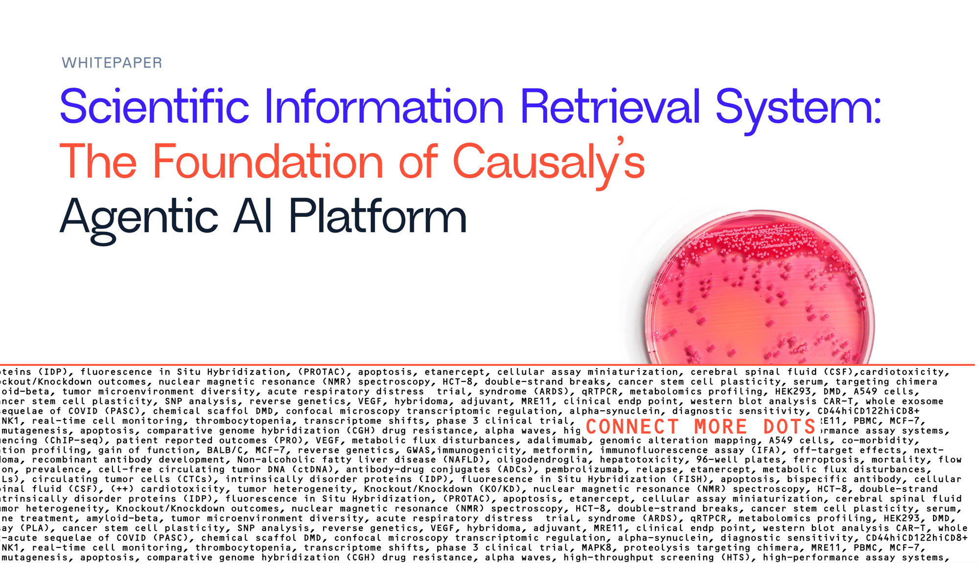 Search Whitepaper Cover no logo (Screenshot)
